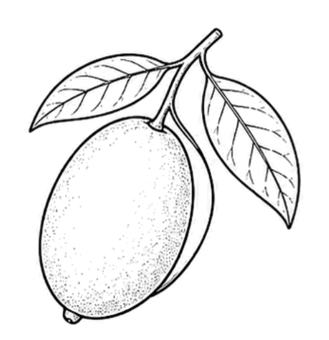 Irvingia Gabonensis