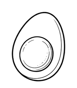Protéine d'œuf